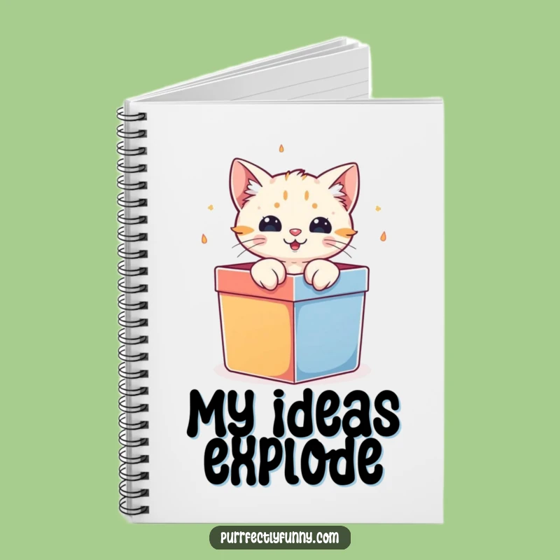 Funny Cat Gift Box Notebook: Surprise Ideas, Hilarious Journal Gift